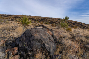A volcanic bomb or lava bomb. Cima volcanic field. Kelbaker Road, Mojave National Preserve. San Bernardino County, California. Mojave Desert / Basin and Range Province.