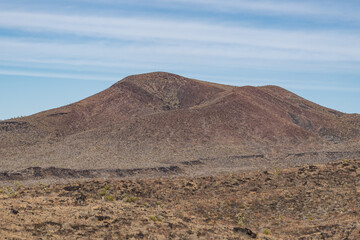  Cima volcanic field. Kelbaker Road, Mojave National Preserve. San Bernardino County, California. Mojave Desert / Basin and Range Province. Yucca schidigera, Mojave yucca or Spanish dagger