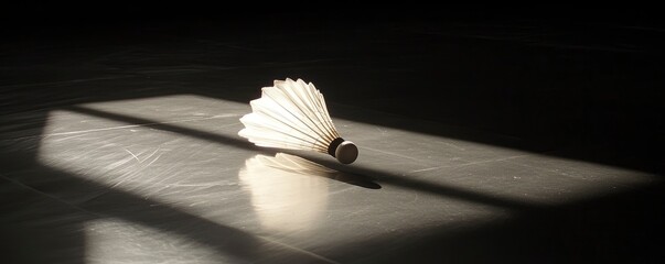 A shuttlecock lies on a court, illuminated by soft light and shadows.