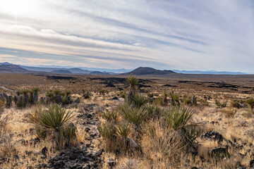 Cima volcanic field. Kelbaker Road, Mojave National Preserve. San Bernardino County, California....