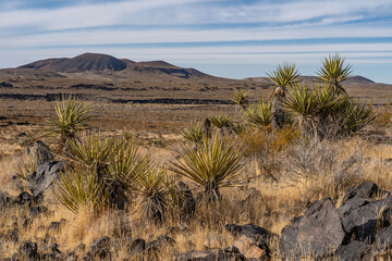 Cima volcanic field. Kelbaker Road, Mojave National Preserve. San Bernardino County, California....