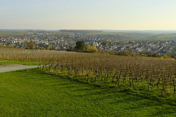 Weinberge auf dem Kobersberg bei Rimpar, Landkreis Würzburg, Franken, Unterfranken, Bayern, Deutschland