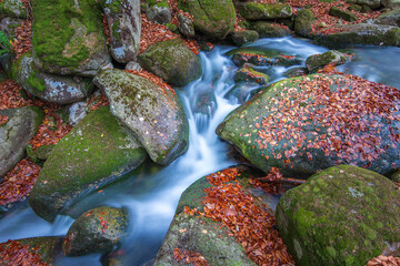 Mountain stream cascade in the autumn forest