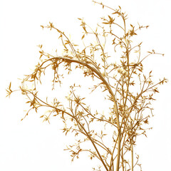 Obraz premium 3D rendered illustration of golden branches/flora isolated on transparent background