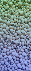 A close-up view of numerous white beans with distinctive black spots fills the image, creating a...