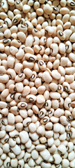 A multitude of small, white legumes with distinctive black markings are closely packed together. The beans are uniform in size and create a textured pattern throughout the image.