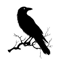 crow on a branch