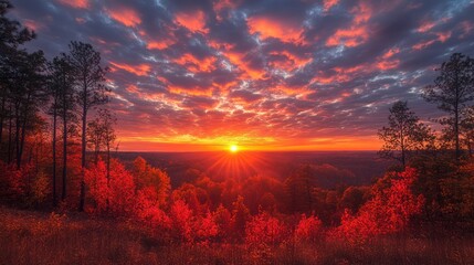 Fiery Autumn Sunset over Scenic Landscape