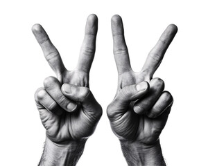 a pair of hands making a peace sign
