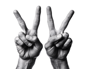 a pair of hands making a peace sign