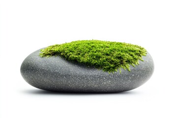 A smooth stone adorned with vibrant green moss, symbolizing nature's harmony.