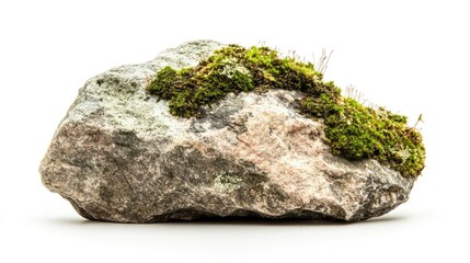 A moss-covered rock on a white background, highlighting natural textures and colors.