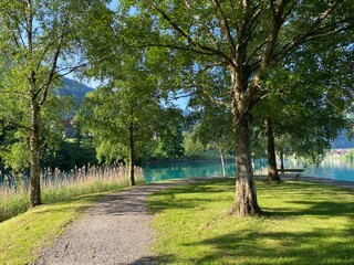 Islet Lungern from a bird's eye view at Lungern Lake or Lungerensee - Canton of Obwalden, Switzerland (Inseli Lungern aus der Vogelperspektive am Lungernsee - Kanton Obwald, Schweiz)