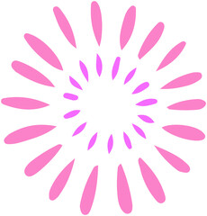 Fireworks Display icon
