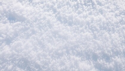 Obraz premium Fresh untouched snow texture with soft, sparkling white powder crystals glistening in sunlight, smooth winter background for seasonal designs, weather concepts, Christmas themes, and serene visuals