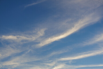 Cloudscape of Soft White Streaks on Blue - A wispy cloud cluster floating high in the sky breaks up into soft, long white streaks of  thin tubular like cloud formations backed by a clear blue sky.