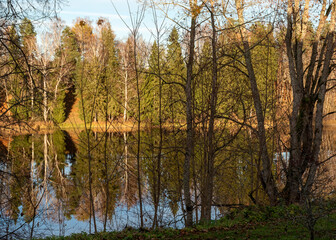 landscape with colorful trees autumn, autumn park, colorful leaves, golden autumn