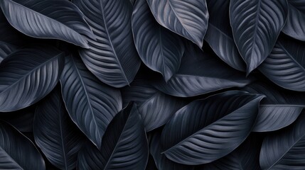 Obraz premium Textures of abstract black leaves for tropical leaf background. Flat lay, dark nature concept, tropical leaf, digital ai