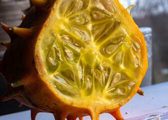 photo of a cutaway of Cucumis metuliferus, commonly known as African horned cucumber or kivano