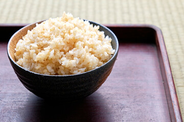 Japanese Rice on Tray