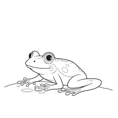 Frog  line art on white backgroun