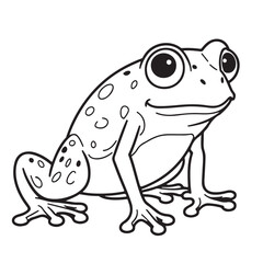 Frog  line art on white backgroun