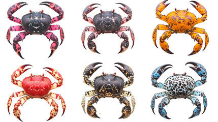Collection of sea crab white isolated background, Crab png, Crab png transparent images, colorful crab images,