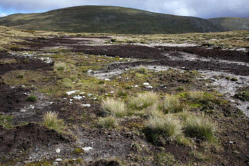 Trail and scenery between Carn a' choire Bhoidheach and Carn an t-sagairt mor munros - Loch Muick to Lochnagar path - Aberdeenshire - Scotland - UK