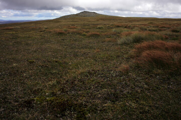 Trail and scenery between Carn a' choire Bhoidheach and Carn an t-sagairt mor munros - Loch Muick to Lochnagar path - Aberdeenshire - Scotland - UK © Collpicto