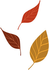Fallen Leaves Icon

