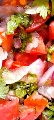 A vibrant mix of diced tomatoes, onions, and cilantro is captured in a close-up view, showcasing fresh ingredients commonly used in salsa. 