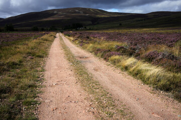 Hiking trail to Mount Keen from  Glen Tanar - Aberdeenshire - Scotland - UK
