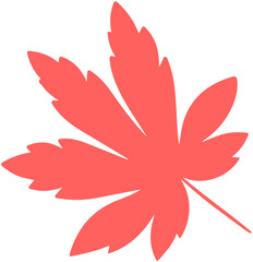 Maple Leaf Silhouette
