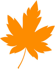 Maple Leaf Silhouette
