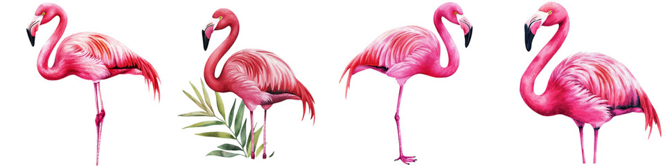 Fototapeta premium Flock of Elegant and Vibrant Pink Flamingos Standing in a Tropical Lagoon or Lake Against a Lush Exotic Backdrop