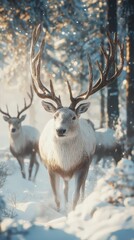 Obraz premium King of the north. wildlife. Ultra realistic. Photorealistic hypermaximalist hyper realistic fine detail