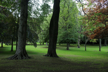 Fototapeta premium Seaton park - Bridge of Don - Aberdeen city - Scotland - UK