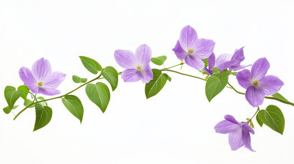 Obraz premium A delicate floral branch with soft violet blossoms, vivid green leaves, and a minimalistic stem design
