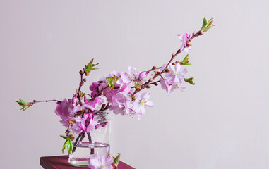 Spring decoration blooming branch of pink sakura on light background