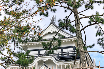 福山城と松の木