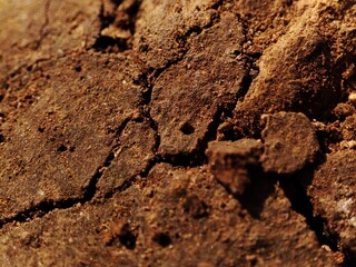 Close-up of cracked dried up soil .