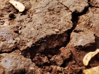 Close-up of cracked dried up soil .The texture of the dry and dehydrated soil with cracks close-up. The ground cracks, hot climate, lack of moisture.