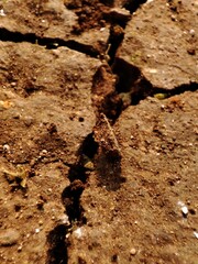 Close-up of cracked dried up soil .