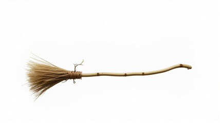 caterpillar on a white background