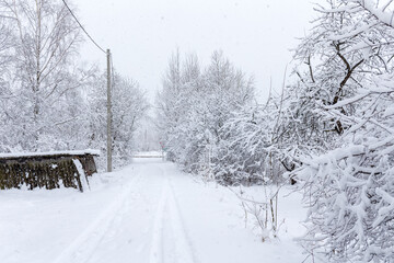 snowfall in spring