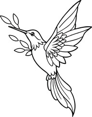 hummingbird vector isolated on a white background
