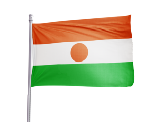 Niger Flag 