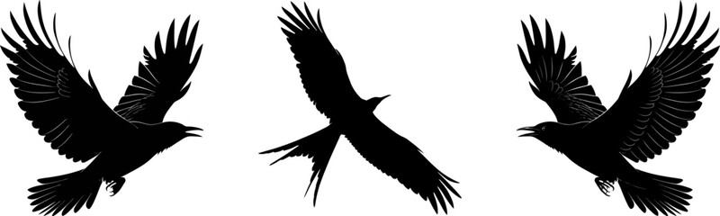 Silhouette of Birds and Animals in Nature at Dusk or Dawn