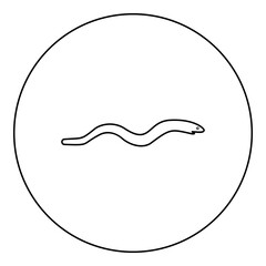 Eel fish snake shape seafood concept icon in circle round black color vector illustration image outline contour line thin style