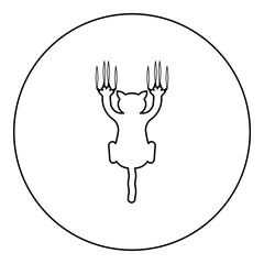 Obraz premium Cat scratching with claw marks harm icon in circle round black color vector illustration image outline contour line thin style